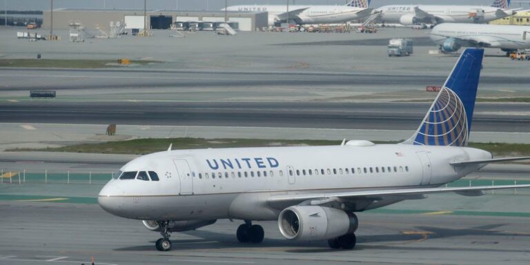Panic on plane, passenger dies on trip to Los Angeles – fellow passengers claim he and wife had symtoms
