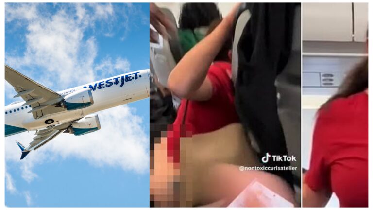 Woman Strips Naked on westjet Airlines Flight