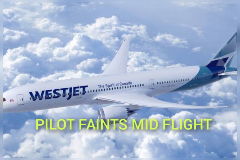 WestJet Flight Scare: Pilot Faints Mid-Air, Experienced Passenger Lands Plane Safely In Toronto