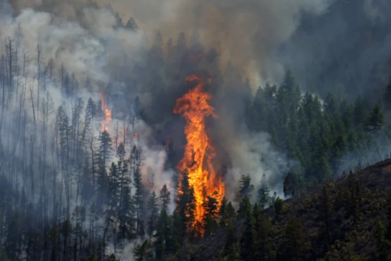 1 person killed in Colorado wildfires as blazes torch large areas of the U.S. West