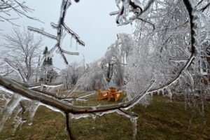 CLOSER LOOK: Epic ice storm inflicts ‘heartbreaking’ damage