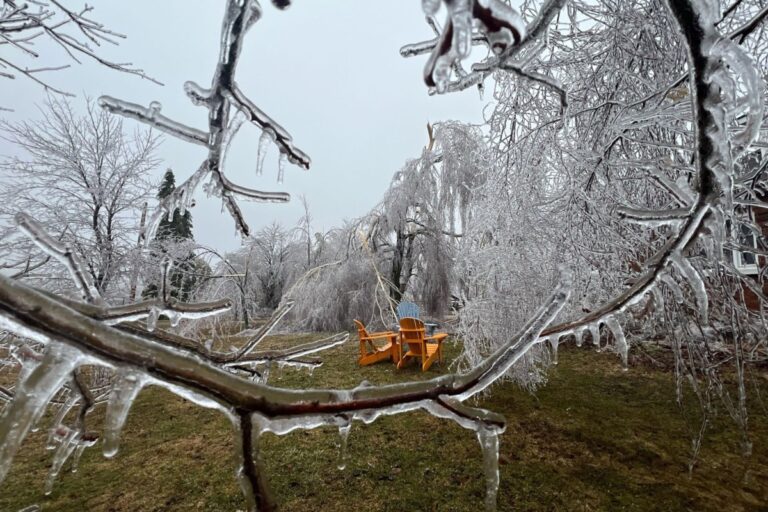 CLOSER LOOK: Epic ice storm inflicts ‘heartbreaking’ damage