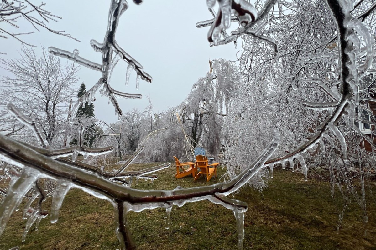 CLOSER LOOK: Epic ice storm inflicts ‘heartbreaking’ damage