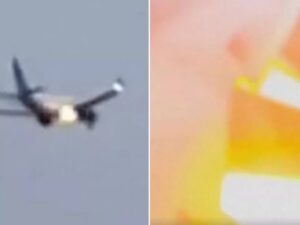 United Airlines plane engine shoots out fire after hitting an animal on takeoff