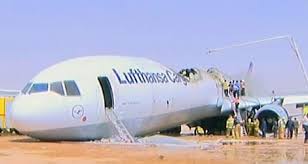 Tragedy Strikes Lufthansa Cargo Flight: All Live Animals Perish After In-Flight Incident