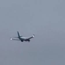 United Airlines plane engine shoots out fire after hitting an animal on takeoff