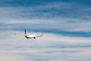 Flames and fur cause flight delay: United jet turns back after dramatic engine scare