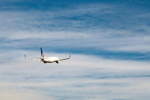 Flames and fur cause flight delay: United jet turns back after dramatic engine scare