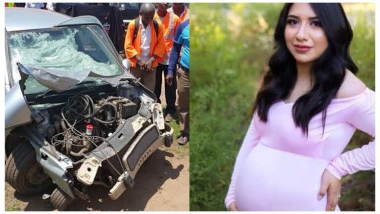 “Tragic accident: A head-on collision claims the lives of 10 individuals, including a woman about To delive….