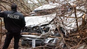 Photos: Niagara Falls man drives vehicle into Niagara Gorge