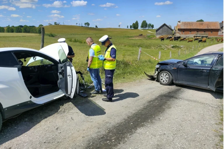 69-letni mężczyzna zmarł po czołowym zderzeniu samochodowym w ubiegłym tygodniu z rajdowym mistrzem Ogierem w Polsce.