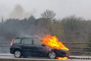Dublin Boulevard Crash Claims Life as Vehicle Erupts in Flames Colorado