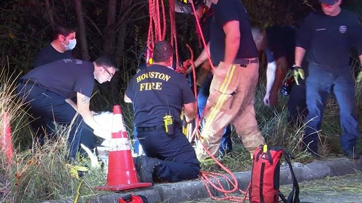 Breaking News: 36-Year-Old Woman Miraculously Rescued After Plunging Into Niagara Falls