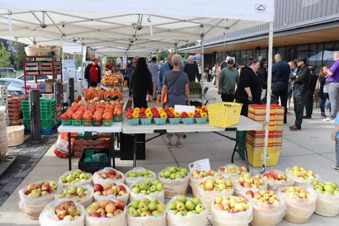 Niagara Falls Farmers’ Market kicks off at MacBain Community Centre