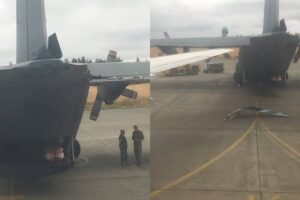 Calgary Airport, WestJet Airlines Flight Collides With A Vehicle Leading To Many Fatalities
