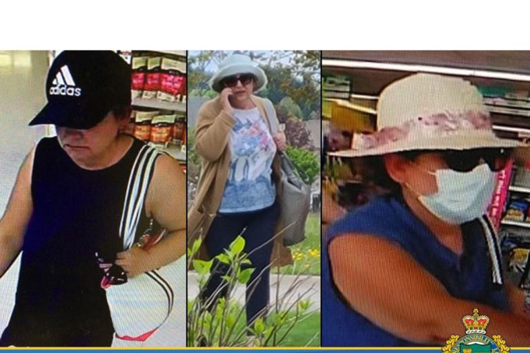 Serial theft incidents across southern Ontario linked to 2 women: police