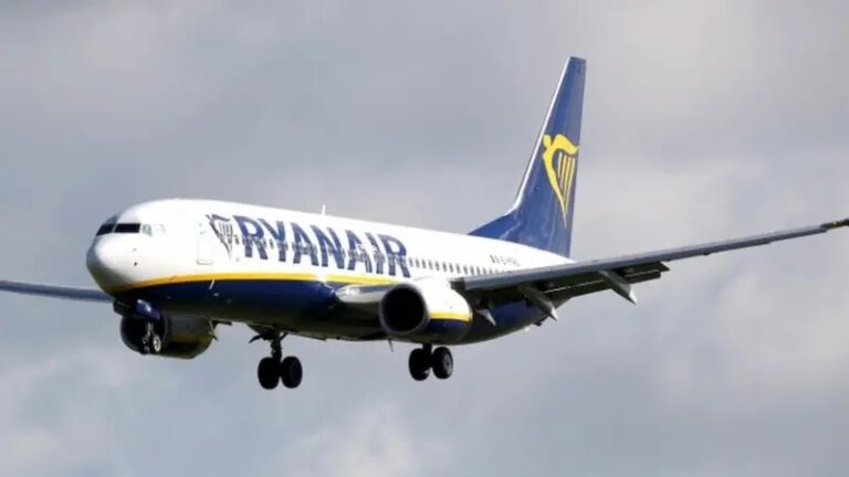Bird strike horror: fire shoots from Ryanair plane as it hits flock of herons