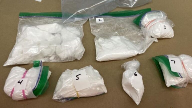 Suspected drugs worth $25K seized, two arrested in Niagara Falls