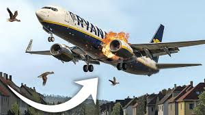 Ryanair Plane Crash Lands Without Landing Gear, 13 Confirmed Dead