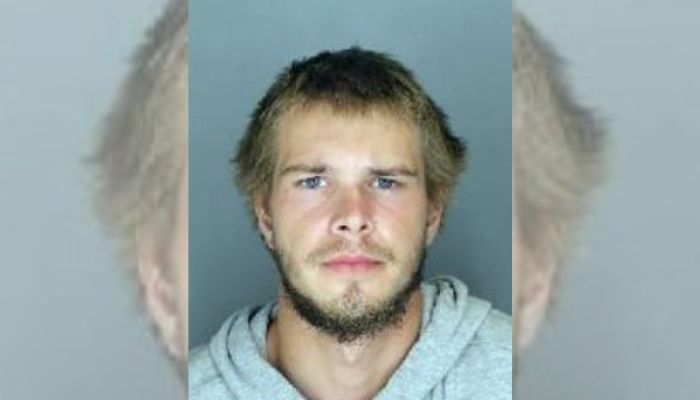 Man wanted for Toronto stabbing arrested in Niagara Falls, police say