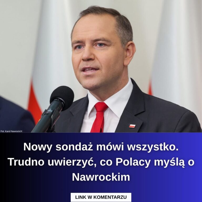 Nowy sondaż mówi wszystko. Trudno uwierzyć, co Polacy myślą o Nawrockim