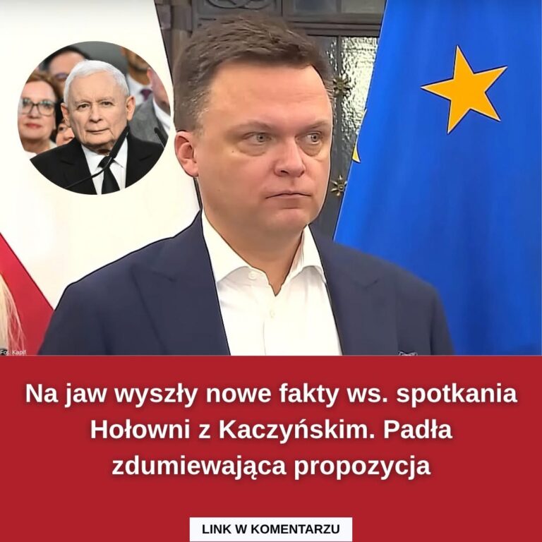 Nowe fakty ws. spotkania Hołowni z Kaczyńskim. Padła zdumiewająca propozycja