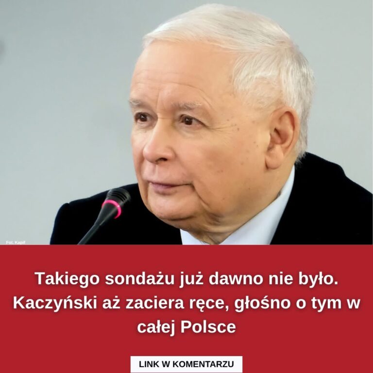 Takiego sondażu już dawno nie było. PiS wróci do władzy po wyborach?