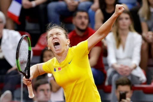 „Simona Halep: O carieră marcată de pasiune, perseverență și victorie”